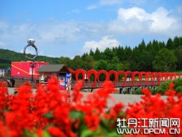 445ce107-fc3d-4c07-a213-dd66d469af05.jpg